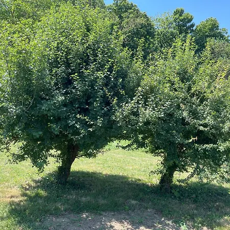Oda ve Kahvaltı Casa Laiazzo