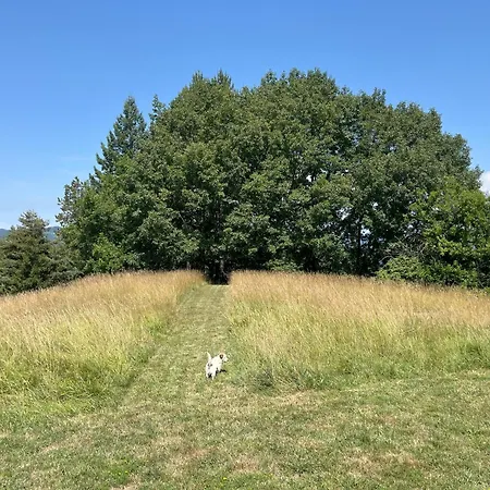 Casa Laiazzo Couette-café
