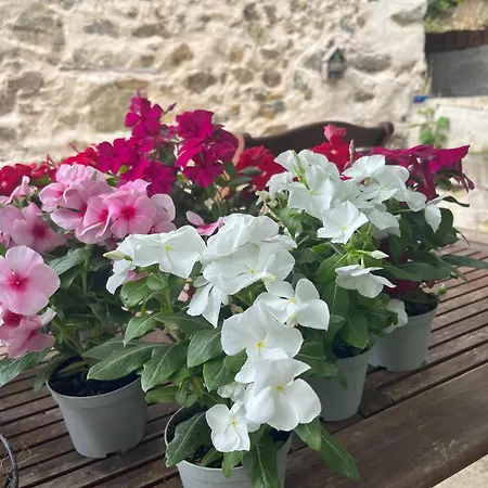 Casa Laiazzo 3* Cairo Montenotte