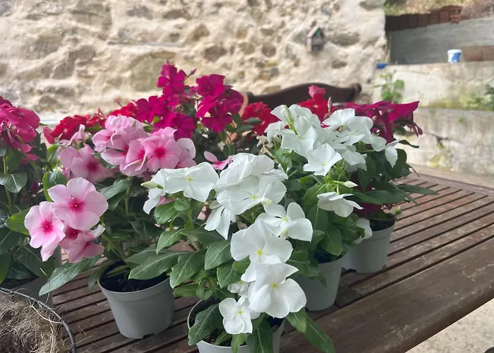 Casa Laiazzo 3* Cairo Montenotte